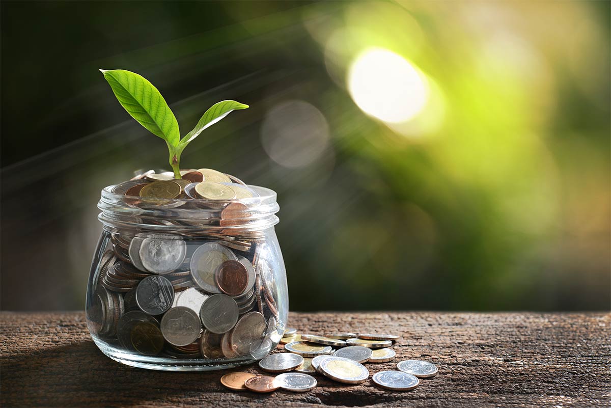 کشاورزی شهری؛ راهبردی برای امنیت